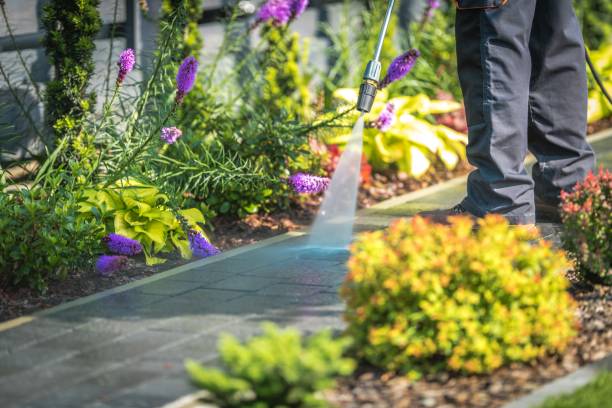 Best Pool Deck Cleaning in Mora, MN